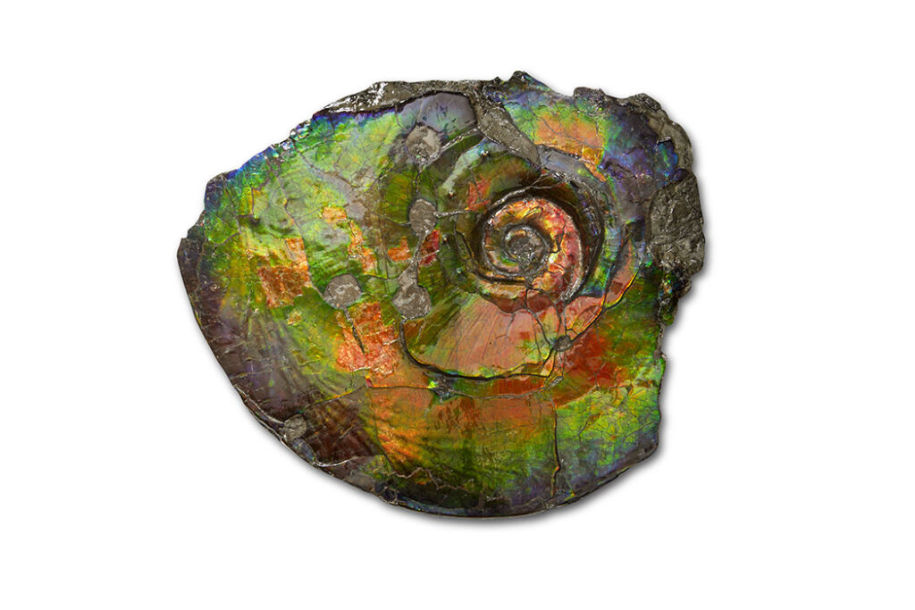 An ammonite fossil used in Feng Shui for its rainbow of colours and positive energy