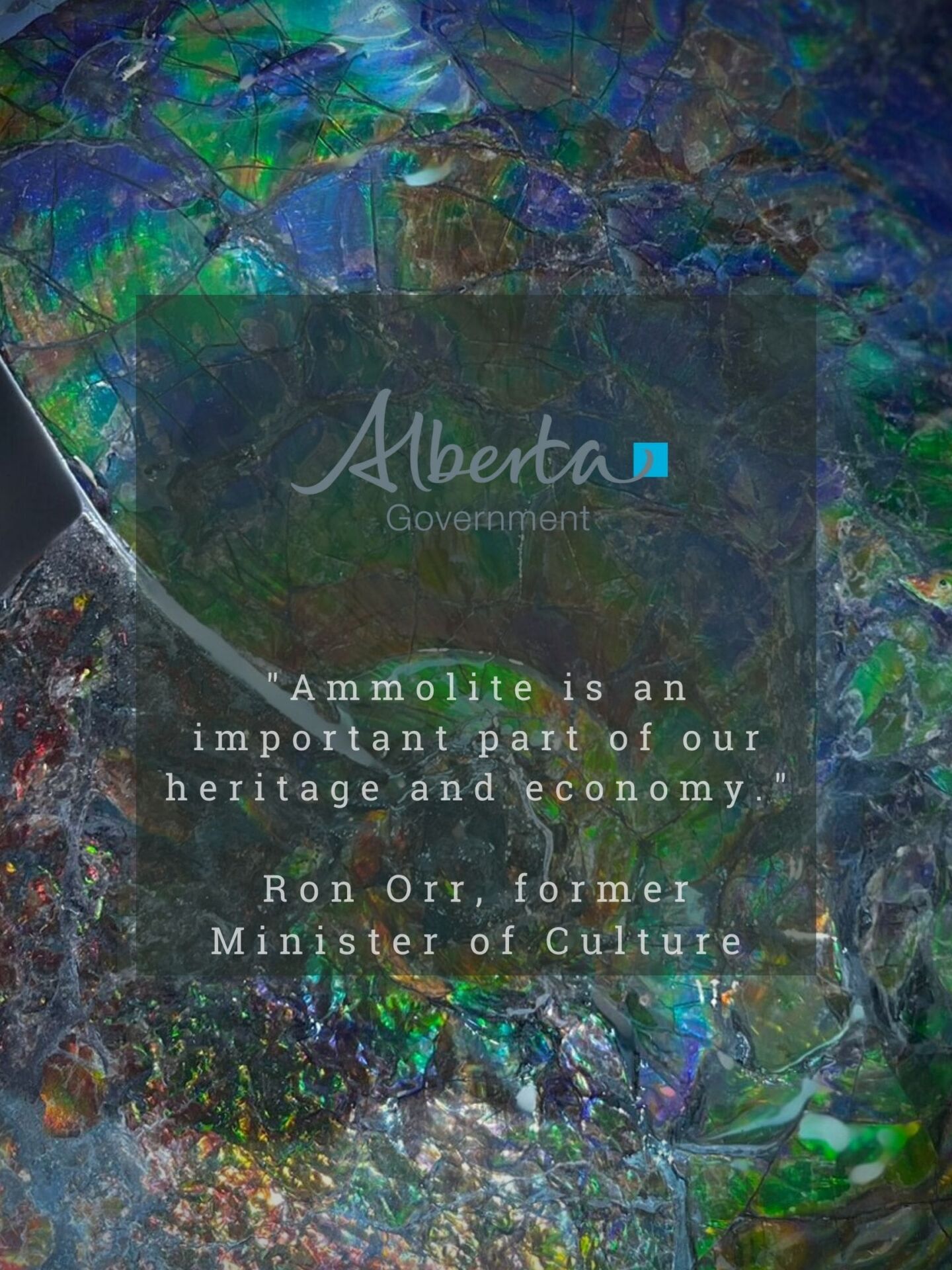 Alberta Ammolite Announcement