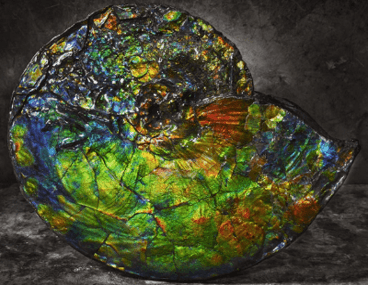 Beautiful-International-Ammolite Resize