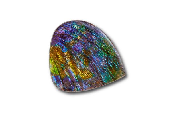 Canadian Ammolite Gemstone 510271