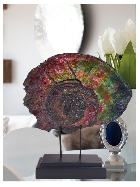 Ammolite decor