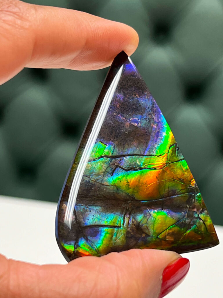 Ammolite 2 768x1024