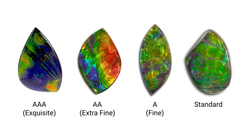 Ammolite grading 1024x577