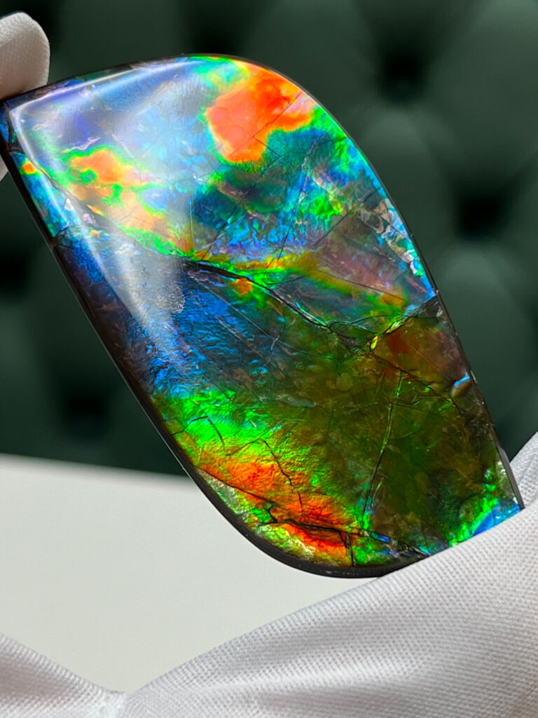 Ammolite top grade 768x1024